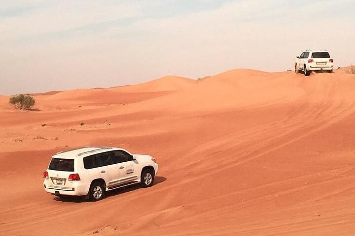 Dubai Safari: Dune Drive, Belly Dance, Camels & Meal - Image 4