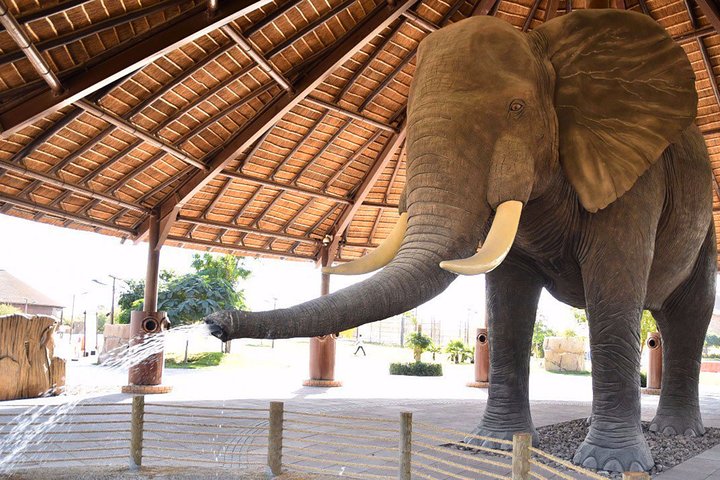 Dubai Safari Park With Transfer - Image 5