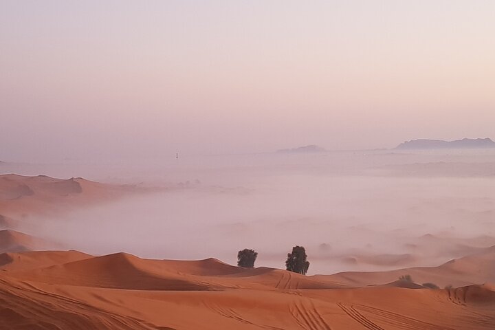 Dubai Sunrise Red Dunes Safari-( Private Tour )  - Image 4