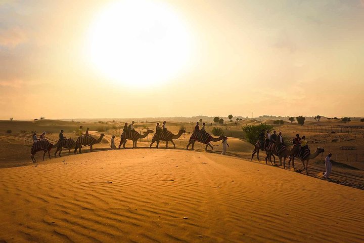 Dubai: Sunset Camel Caravan Safari with BBQ Dinner at Al Khayma Camp - Image 1