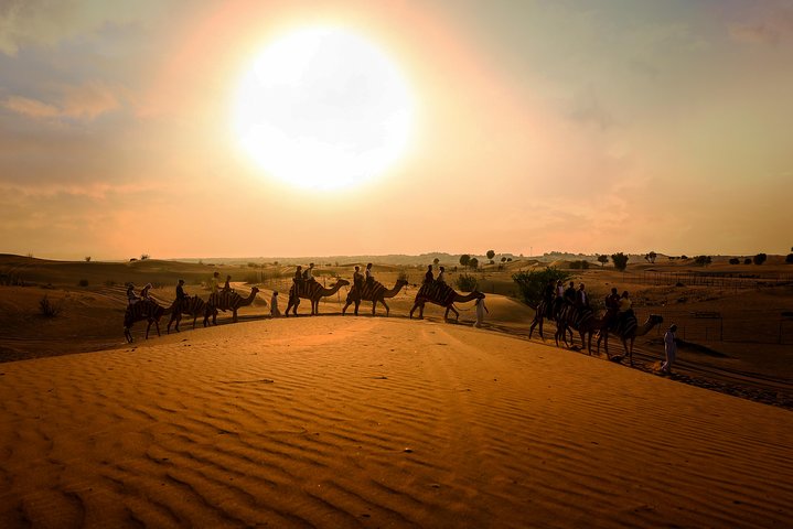 Dubai Sunset Camel Trekking With BBQ Dinner - Image 1