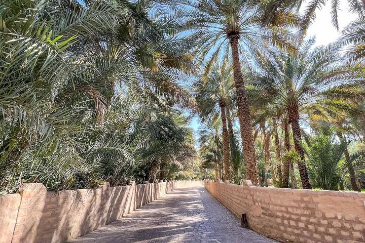 Dubai to Al Ain Private Tour a Journey from Sand to Lush Oasis. - Image 5