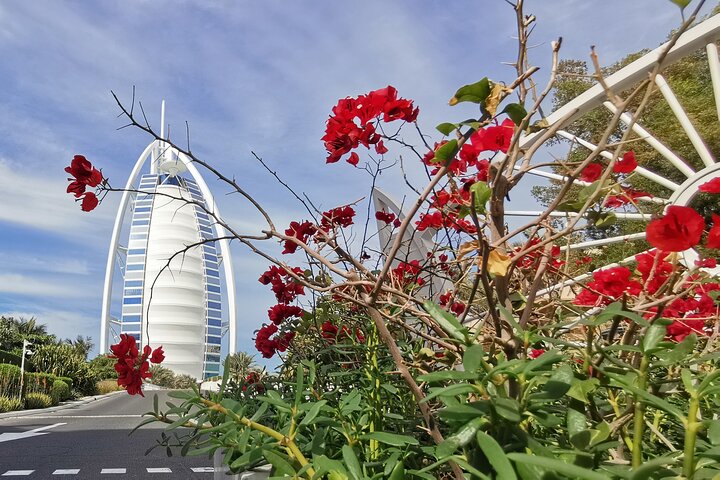 Dubai Top Five Attractions Tour with With Entry Tickets - Image 3