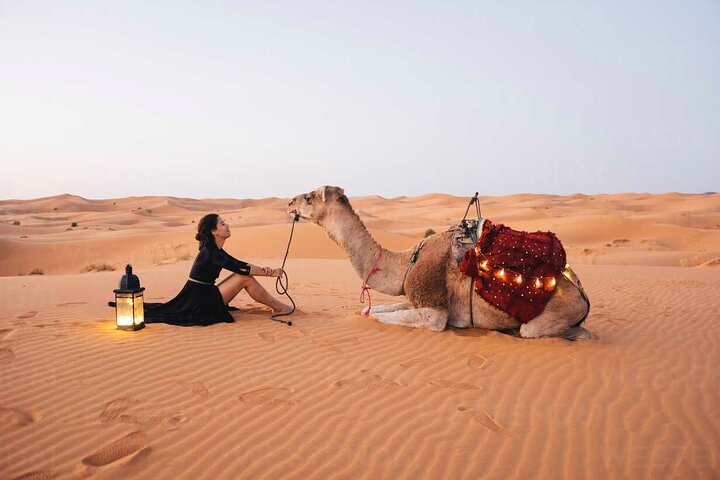 Dubai:Red Dunes , Sandsurf, Camels, Stargazing & 5* BBQ ™️ - Image 1