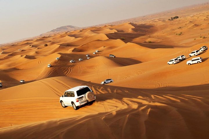 DXB Red Dune Desert Safari, Sand Boarding, Camel Ride, Live Shows, BBQ Dinner - Image 3