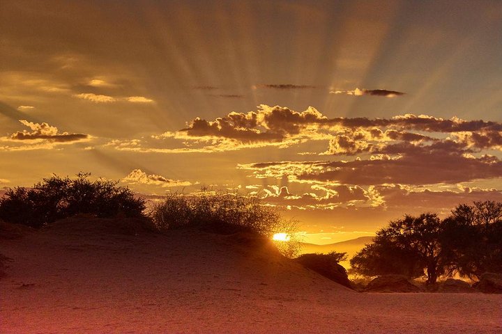 Early Morning Desert Safari With Camel Trekking Experience - Image 5