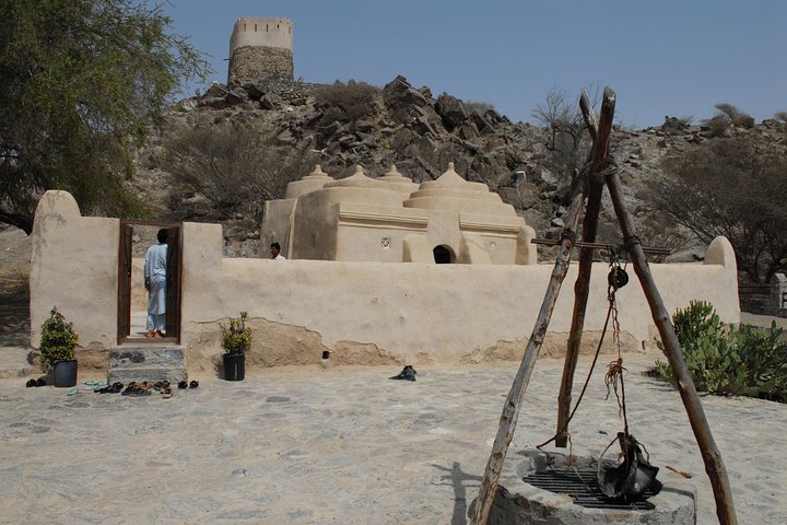 East Coast and Sharjah Day Tour from Dubai - Image 1
