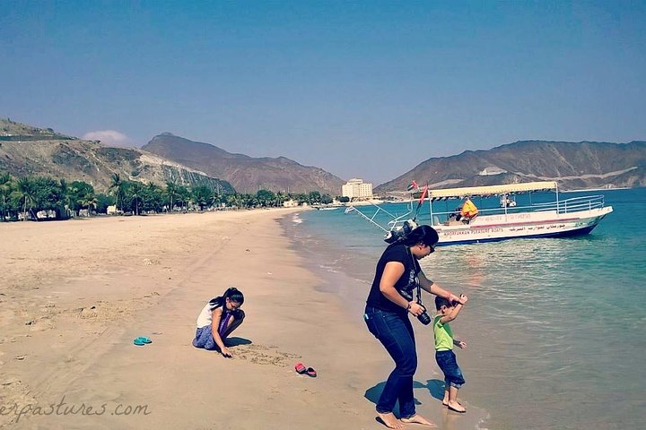 East Coast Tours - Away of Urban (Kids friendly) - Image 5