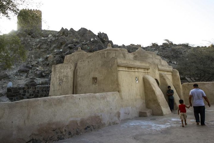 East Coast Tours - Away of Urban (Shore Excursions) - Image 4