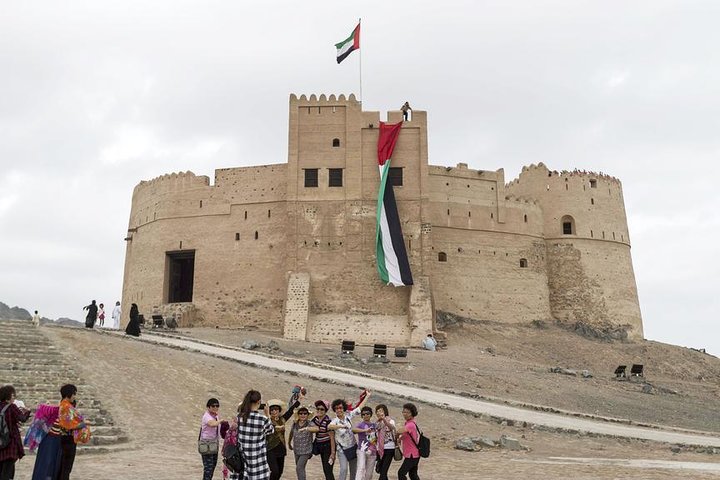 East Coast Tours - Away of Urban (Tours & Sightseeing) - Image 4