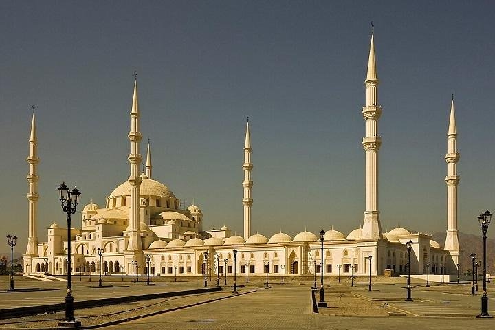 East Coast Tours - Away of Urban (Tours & Sightseeing) - Image 5