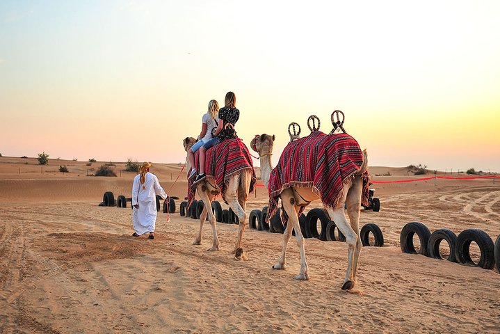 Evening Desert Safari 4x4 Dune Bashing,Sandboarding,Camel Riding,Dinner - Image 4