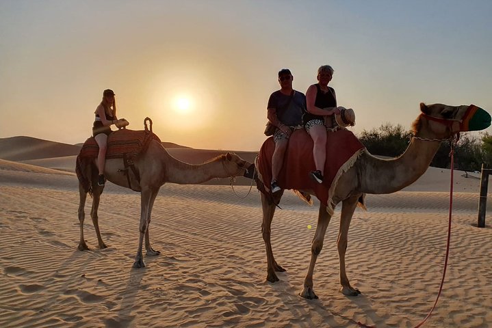 Evening Desert Safari 4x4 Dune Bashing,Sandboarding,Camel Riding,Dinner - Image 3