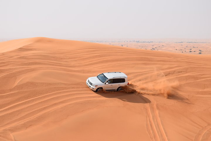 Evening Desert safari & Abu Dhabi City Tour - Image 2