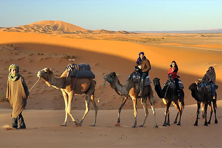 Evening Desert Safari Dubai with Belly Dance & BBQ Dinner - Image 5