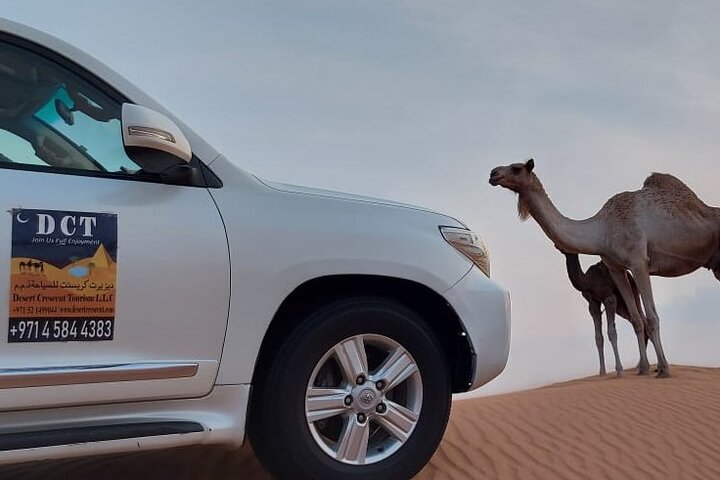 Evening Desert Safari In Dubai , 4x4 pick up, Shows, BBQ Dinner - Image 1
