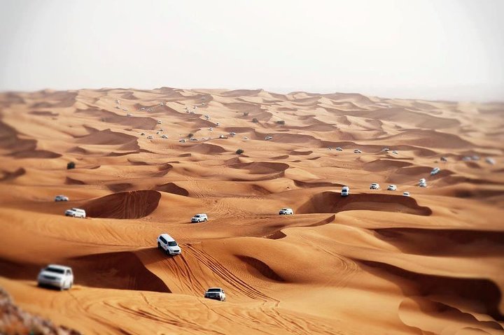 Evening Desert Safari With Bab Al Shams Dinner - Image 2