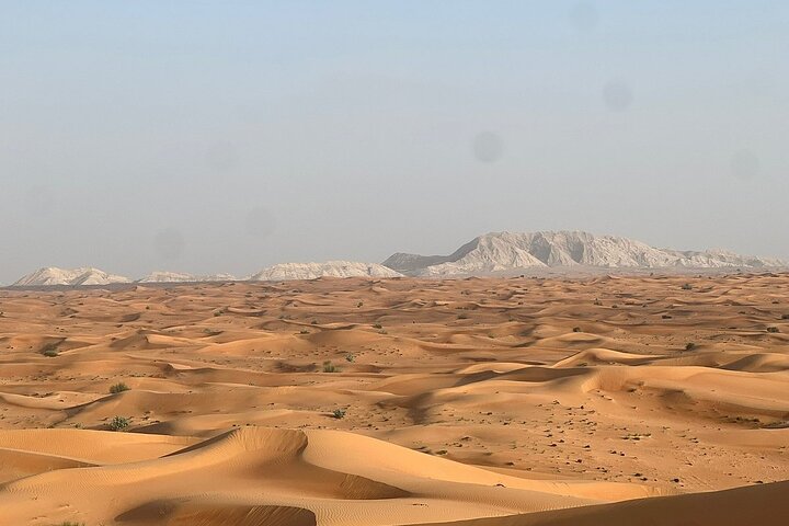 Evening Desert Safari with BBQ Dinner Quad Bike Open Desert - Image 2