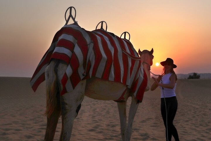 Evening Desert Safari with Camel Ride & BBQ Dinner - Image 5