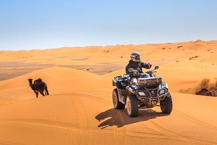 Evening Desert Safari with Quad bike 30 minutes - Image 4
