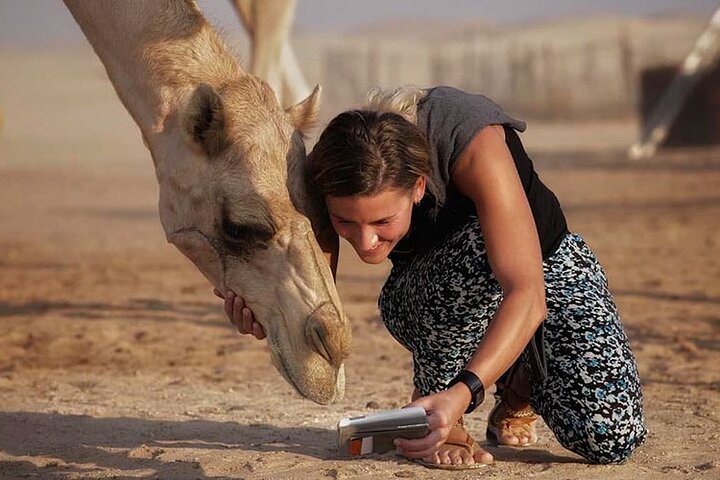 Evening Red Sand Desert safari with BBQ Dinner, Private  - Image 3