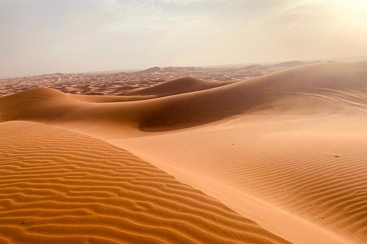 Extreme Desert Safari Evening with Dinner - Image 2