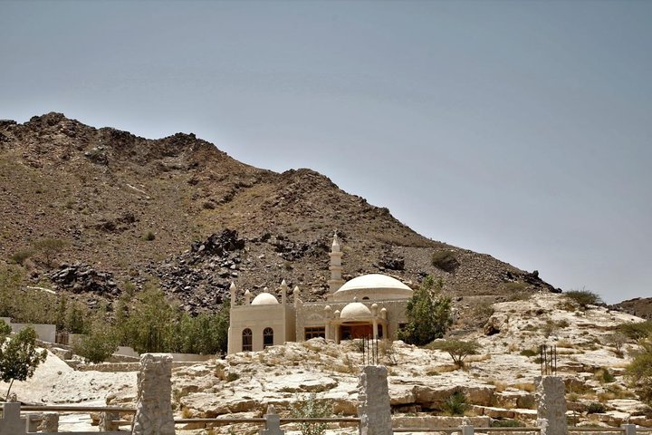 Five Emirates Tour in a Day from Dubai - Know the East-Coast. - Image 5