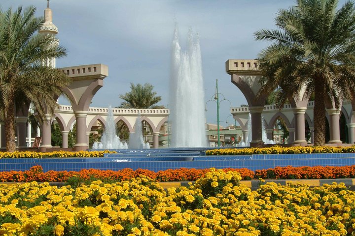 From Dubai Sightseeing in Al Ain city [Japanese tour] [Exclusive car] - Image 2