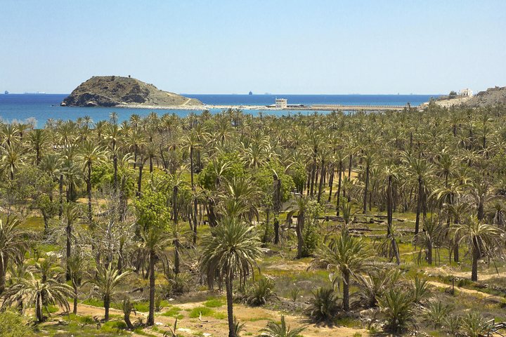 Fujairah Full-Day Tour from Dubai With Spanish-Speaking Guide - Image 4