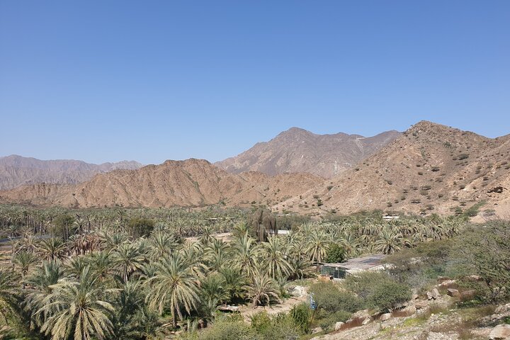 Fujairah Private City Tour From Dubai with Transfer - Image 3