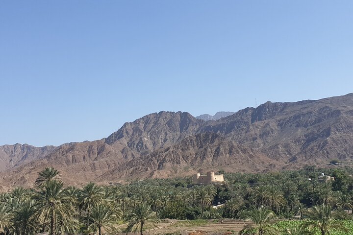 Fujairah Private City Tour From Dubai with Transfer - Image 1