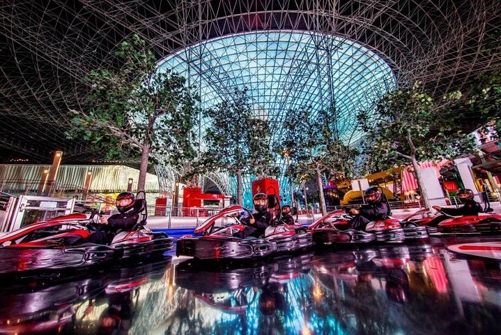 Full Day Abu Dhabi City Tour with Ferrari World Ticket  - Image 3