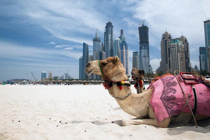Full Day Dubai Tour with Lunch and Burj Khalifa - Image 1