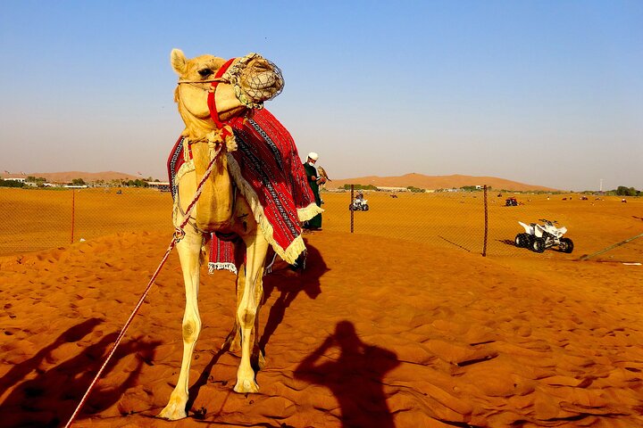 Full-Day Guided Evening Desert Safari Tour in Dubai - Image 4