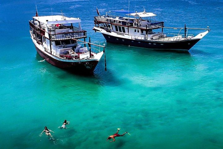 Full-Day Mussandam Cruise with Lunch Dibba - Image 1