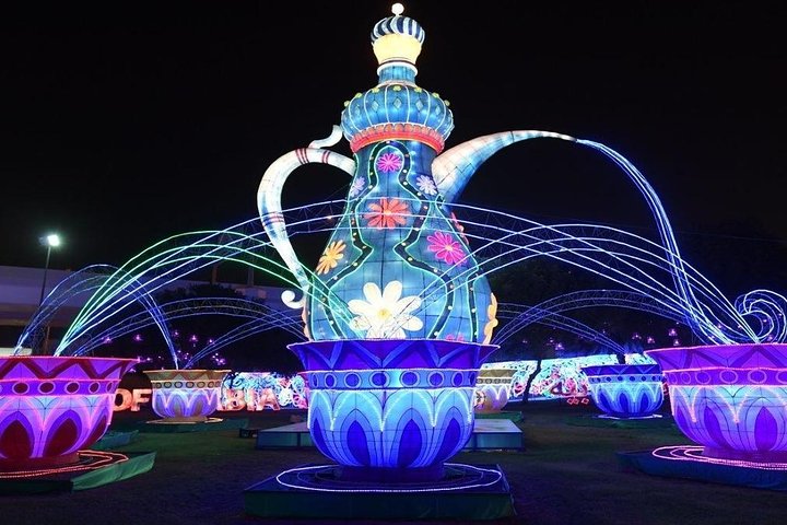 Full Day Private Dubai City Tour with Miracle Garden, Frame & Global Village - Image 5