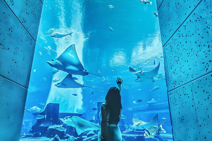 Full Day Tour at The Palm Jumeirah - Image 5