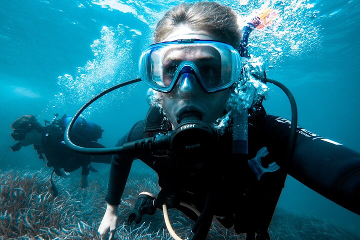 Guided Scuba Diving Adventure in Jumeirah Dubai - Image 3