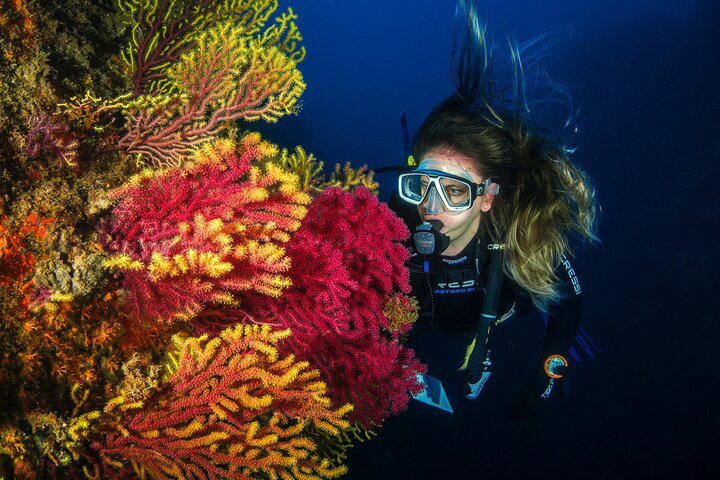Guided Scuba Diving Adventure in Jumeirah Dubai - Image 1