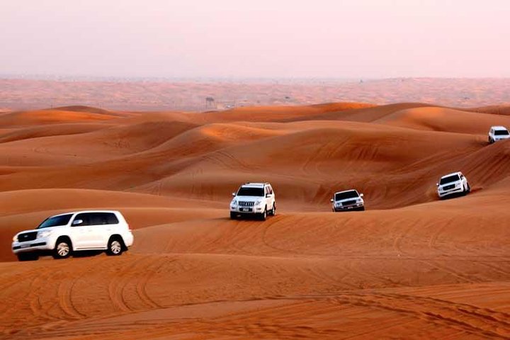 Half Day Dubai Afternoon Desert Safari and Shore Excursion - Image 4