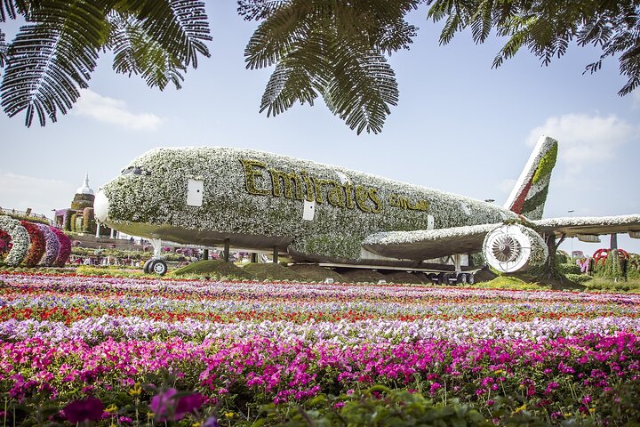 Half-Day Tour with Transfer in Dubai Frame and Miracle Garden - Image 2