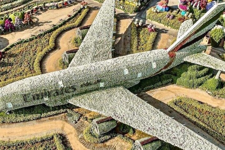 Half-Day Tour with Transfer in Dubai Frame and Miracle Garden - Image 3