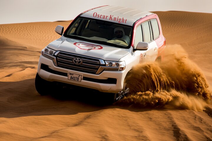 High Red Dunes with Camel Ride, Sandboarding, Falcon Show and VIP BBQ Dinner - Image 2