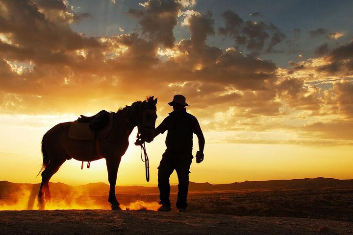 Horseback Riding in Dubai Desert - Image 3