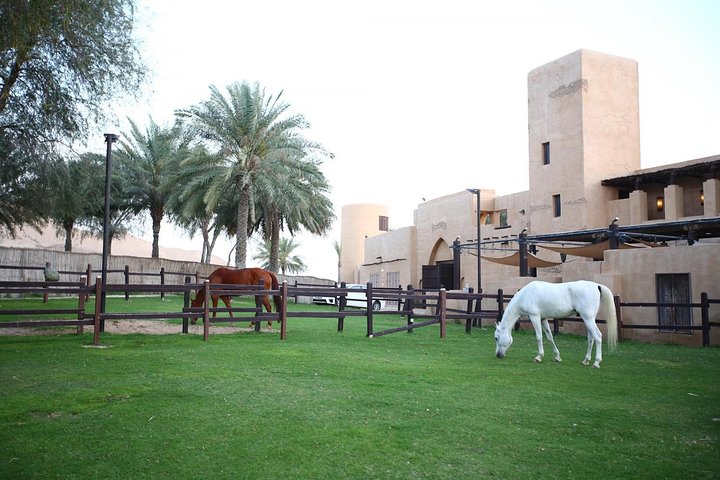 Horseback Riding in Dubai Desert - Image 1