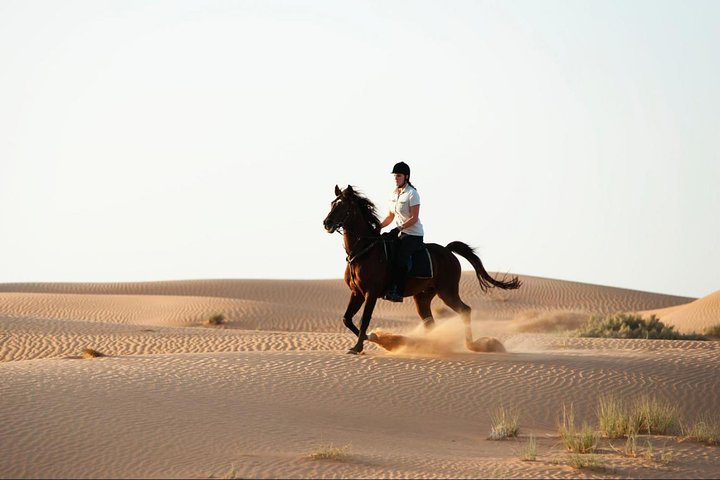 Horseback Riding in Dubai Desert - Image 2