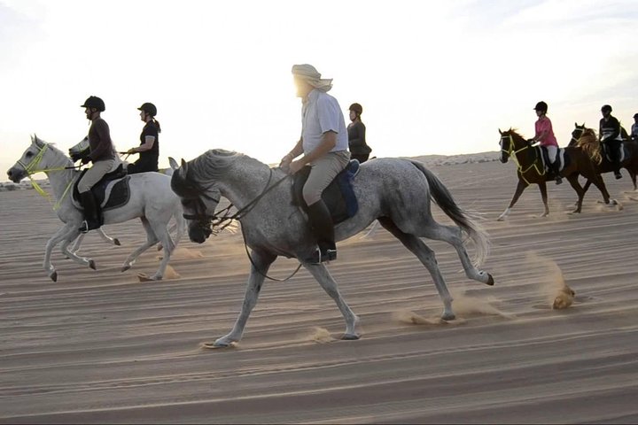 Horseback Riding in Dubai Desert - Image 4