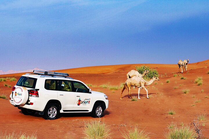 Hot Air Balloon Ride in Dubai with Pickup - Image 4