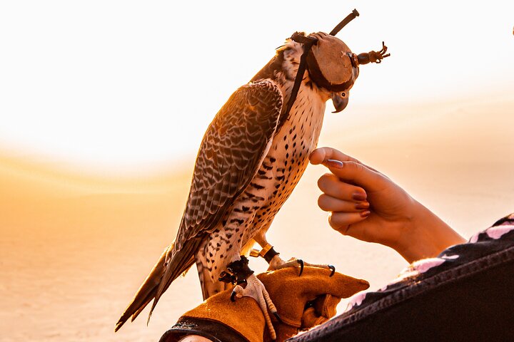 Hot Air Balloon ride with In-flight falcon show - Image 3