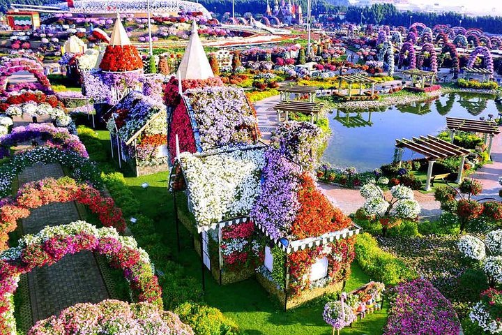 Memorable Evening at Dubai Global Village with Dubai Miracle Garden Visit !! - Image 4
